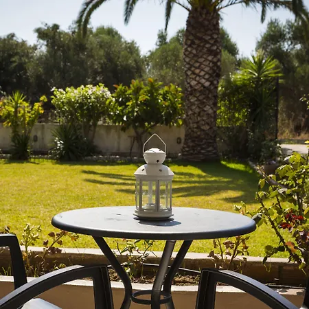 Olive Grove & Svoronata