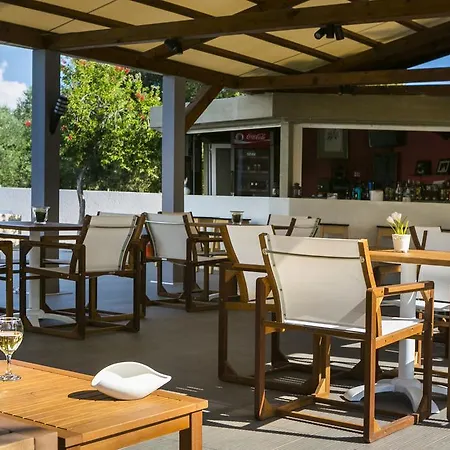 Olive Grove &