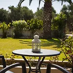 Olive Grove & Svoronata