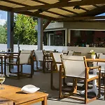 Olive Grove &