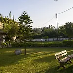 Olive Grove & 3*